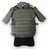 TMC SED Assault Vest (Ranger Green RG)